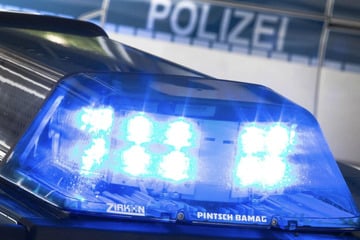 Kinder werfen Äste von Autobahnbrücke und treffen einen Opel