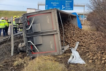 Unfall A14: Zuckerrüben-Chaos auf der A14: Lastwagen fällt von der Fahrbahn in den Graben