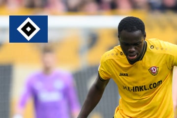 HSV-Blog: Dynamo-Profi vor Unterschrift bei den Rothosen