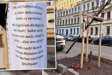 Leipzig: Leipziger stellen Grabkerzen und Mutmacher für abgeholzte Bäume auf - und wenden sich an "Idioten wie ihr"