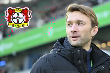 Für 25 Millionen Euro: Denkt Bayer 04 über diesen England-Star nach?