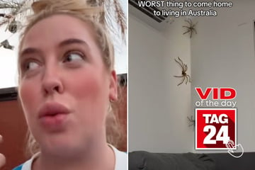 Viral Video of the Day for January 3, 2025: Woman discovers terrifying guests scaling her walls