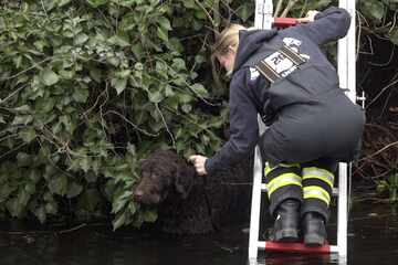Hamburg: Feuerwehr rettet Hund aus misslicher Lage