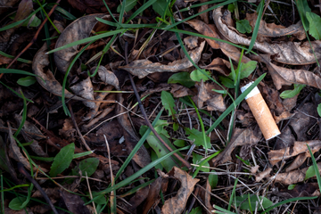 Frau entsetzt: "Meine Nachbarin verstreut ihre Zigarettenstummel überall im Garten"