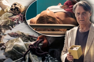 Sechs Leichen! Dieser Krimi mit GZSZ-Star ist next Level