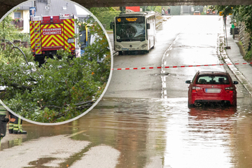 Unwetter fegt über Chemnitz: Straße überflutet, Bäume umgestürzt