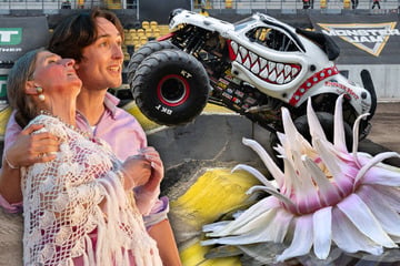 Am Sonntag noch nichts vor? Diese fünf Events warten in Magdeburg auf Euch