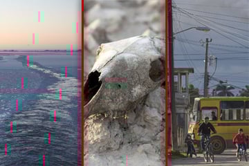 Droht die Erde bald zu verbrennen? Forscher warnen vor gewaltiger Hitzephase