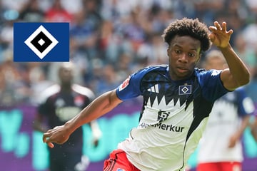 HSV-Blog: Profi für Gespräche mit anderen Vereinen freigestellt