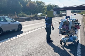 Einkaufswagen ist randvoll und was ist der kürzeste Weg? Natürlich der über die Autobahn ...