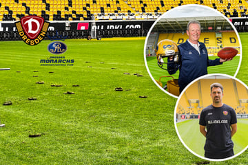 Stamm-Wunsch geht in Erfüllung: Rudolf-Harbig-Stadion bekommt neuen Rasen