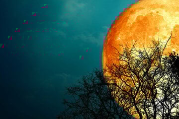 Today's horoscope: Free daily horoscope for Tuesday, January 27, 2026