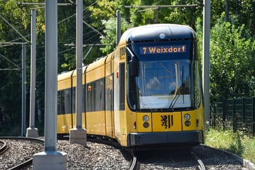 DVB kündigen an: Diese Linie wird am Wochenende umgeleitet - auch Autofahrer betroffen