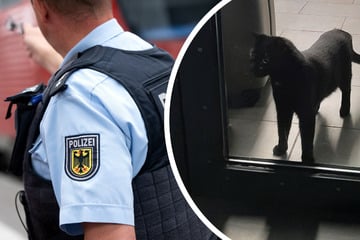 München: Reisender mit Katze im Rucksack: Kurioser Polizeieinsatz mit traurigem Hintergrund