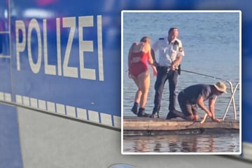 Waller-Attacke in beliebtem Badesee: Fünf Menschen verletzt, Polizei erschießt Fisch