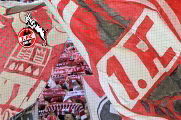 Kurz nach Bundesliga-Rückkehr: 1. FC Köln hat neuen Geschäftsführer