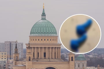 Hart am Alltag: In dieser Stadt wird's sehr schlüpfrig