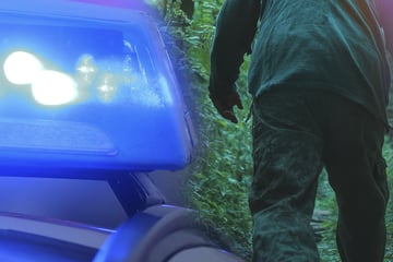 Dresden: Zeugen verfolgen Einbrecher in Dresden-Dölzschen, dann fällt plötzlich ein Schuss