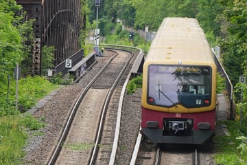 Berlin: Erneutes Chaos auf Berlins S-Bahnen: Defekte Weiche legt mehrere Linien lahm
