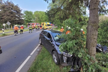 Autos krachen nach Zusammenstoß gegen Bäume: Fünf Verletzte!