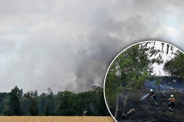 App warnt Anwohner: Großaufgebot an Feuerwehr eilt zu sächsischem Waldbrand
