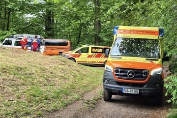 Dramatisches Ende einer Wandertour: Mann (†55) stirbt in Sächsischer Schweiz