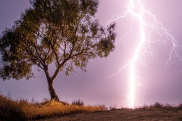 Schweres Gewitter trifft Mittelhessen: Mehrere Bäume umgestürzt