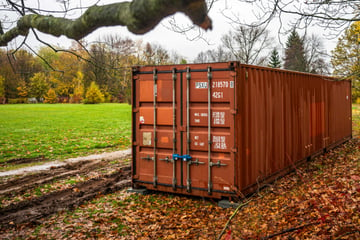 Chemnitz: Chemnitz: Was macht dieser Container im Bürgerpark Gablenz?