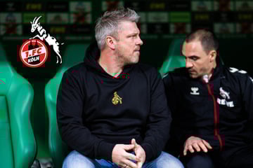 Nach Bundesliga-Talfahrt: 1. FC Köln feuert Standardtrainer