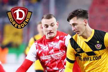 Dynamo-Dresden-Blog: SGD-Aufstiegsheld wechselt nach Schottland!