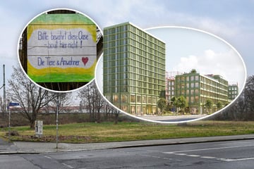 Dresden: Gewerbe, Handel, Hotel! Neues Quartier soll am Hauptbahnhof wachsen