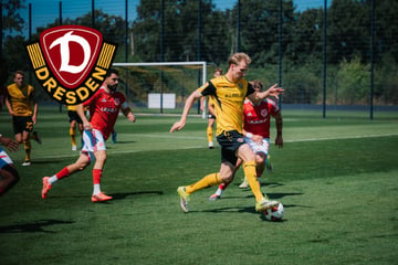 Dynamo-Dresden-Blog: Das Spiel läuft! SGD testet gegen Energie Cottbus
