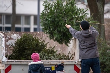 Weihnachtsbaum entsorgen: Wohin damit nach Weihnachten?