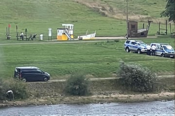 Dresden: Polizei rückt am Fährgarten Johannstadt an: Was suchen sie da in der Elbe?