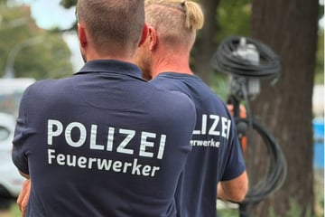 Berlin: Explosionen im Grunewald? Das steckt hinter dem lauten Knallen