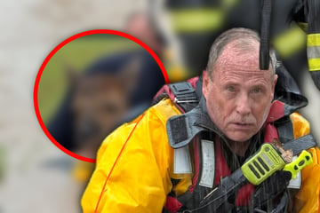 Die müden Augen eines Helden: Was Feuerwehrmann leistet, berührt so viele Menschen