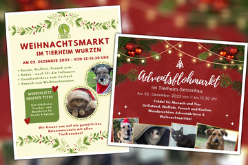 Advent, Advent: Tierheime um Leipzig läuten Weihnachten ein