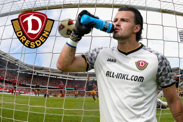 Dynamo-Keeper Schreiber über Saison-Fehlstart: "Wieder auf dem Boden der Tatsachen"