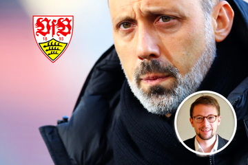 Meine Meinung: VfB-Coach Matarazzo nimmt den Abstiegskampf an, sein Team nicht!