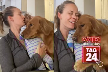 Viral Video of the Day for October 10, 2025: Golden retriever melts hearts snuggling baby and mom!