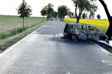 Junger Autofahrer nach Crash von Zeugen gerettet: Wagen fängt Feuer