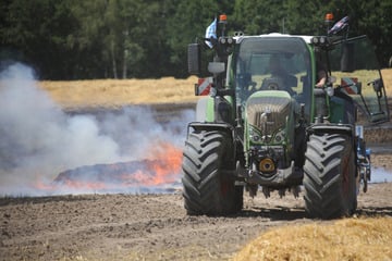 Trockenheit wird zum Brandbeschleuniger: Feld geht in Flammen auf