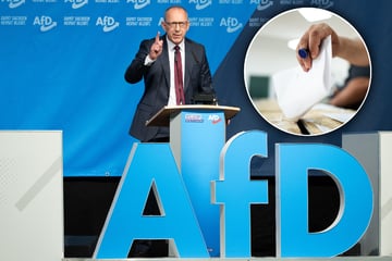 Umfrage zeigt: AfD in Sachsen in Wählergunst weit vorn