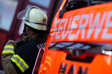 Mögliche Brandstiftung im Wald: Feuerwehr wird beim Löschen das Wasser abgestellt