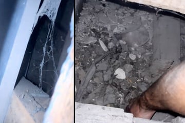 Hausbesitzer entdeckt verborgenen Hohlraum unter den Dielen: Als er hineinsieht, trifft ihn der Schlag