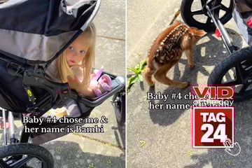 viral videos: Viral Video of the Day for May 5, 2025: Mom's walk turns magical with baby deer "Bambi" hiding under stroller