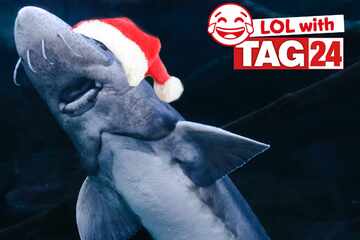 Joke of the Day for December 15, 2025: A Christmas silly swimming with funny