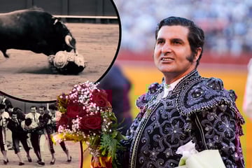 Am Enddarm aufgespießt: "König der Stierkämpfer" meldet sich schwer lädiert aus Klinik