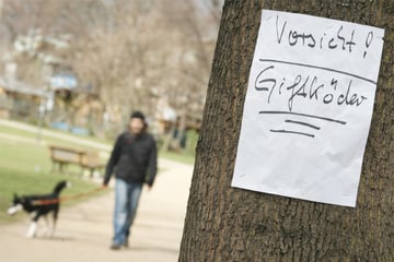 Tödliche Falle bei Heilbronn: Terrier und Pudel sterben nach Gift-Anschlag