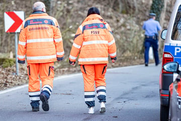 Tragischer Tod in der Sächsischen Schweiz: Arbeiter (33†) von Baumstück erschlagen